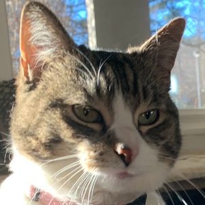 Meet your Posher, Brian